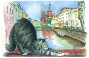 Postcard St Petersburg Russia cats "Church of the Savior on Blood"